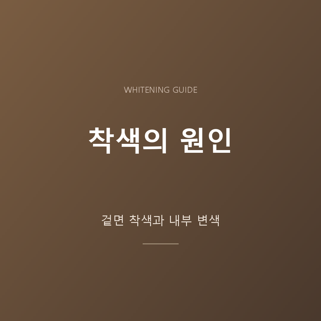 착색의 원인 안내 카드