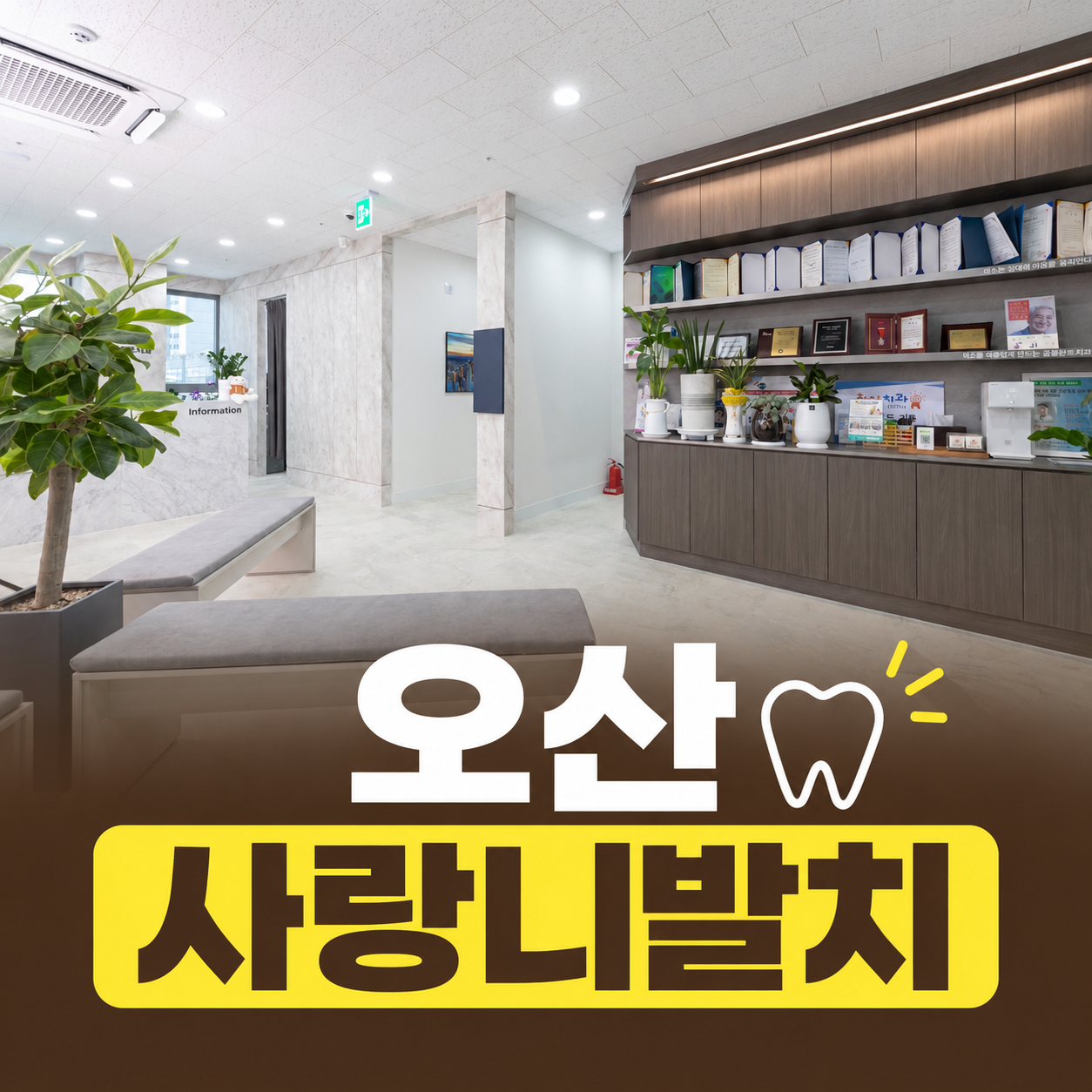 오산사랑니발치